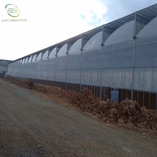 Topcon 575W Tier 1 高効率 16BB ハーフセル単結晶太陽光発電ソーラーパネル (182mm セル付き)